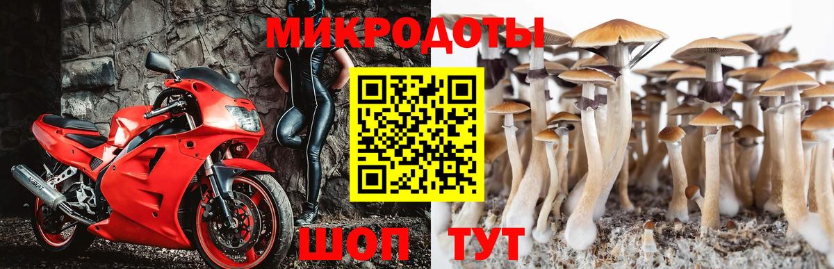 Галлюциногенные грибы Psilocybe  Галлюциногенные грибы мицелий  Вход с VPN  Владикавказ 